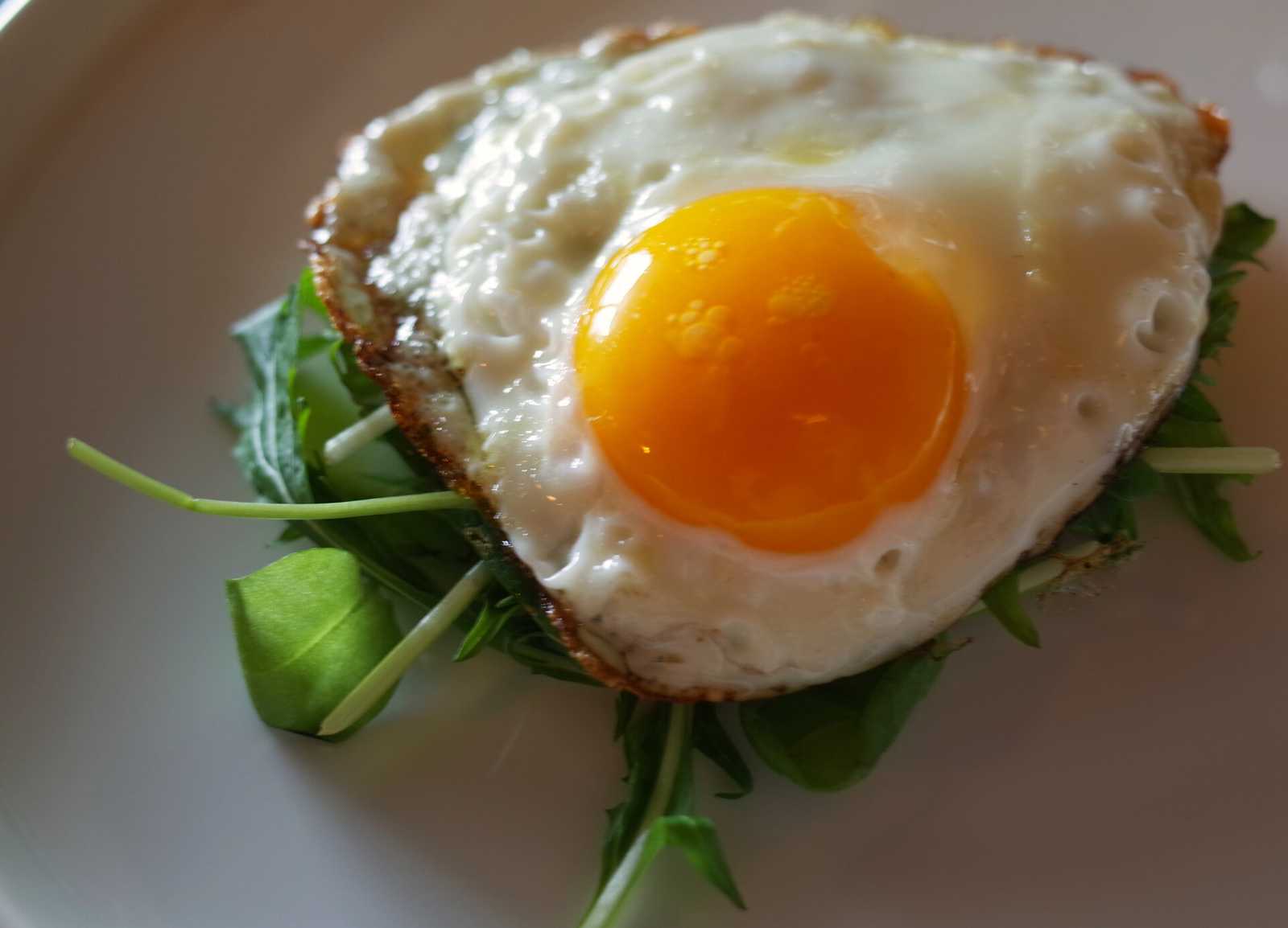 The Crispy Fried Egg